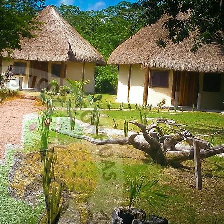 Servicios Turisticos Garra De Jaguar Conhuas المظهر الخارجي الصورة